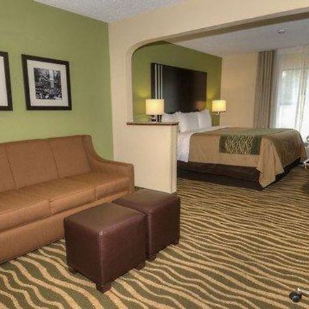 Comfort Inn Near Downtown & Blue Ridge Pkwy Marion Zimmer foto