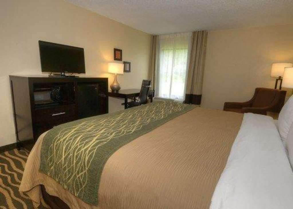 Comfort Inn Near Downtown & Blue Ridge Pkwy Marion Zimmer foto