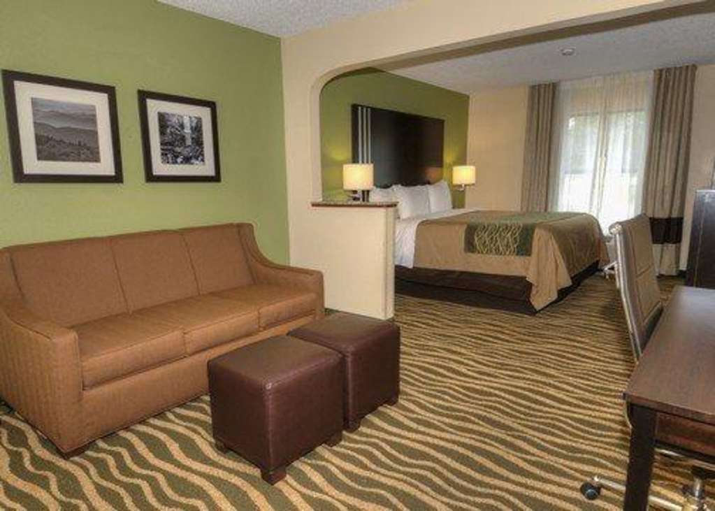 Comfort Inn Near Downtown & Blue Ridge Pkwy Marion Zimmer foto